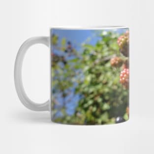 Anyone like blackberries? Mug